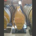 Custom Acrylic Award Trophy