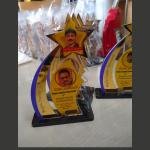 Custom Acrylic Award Trophy